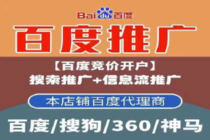 SEM推广公司案例分享：电商品牌崛起之路